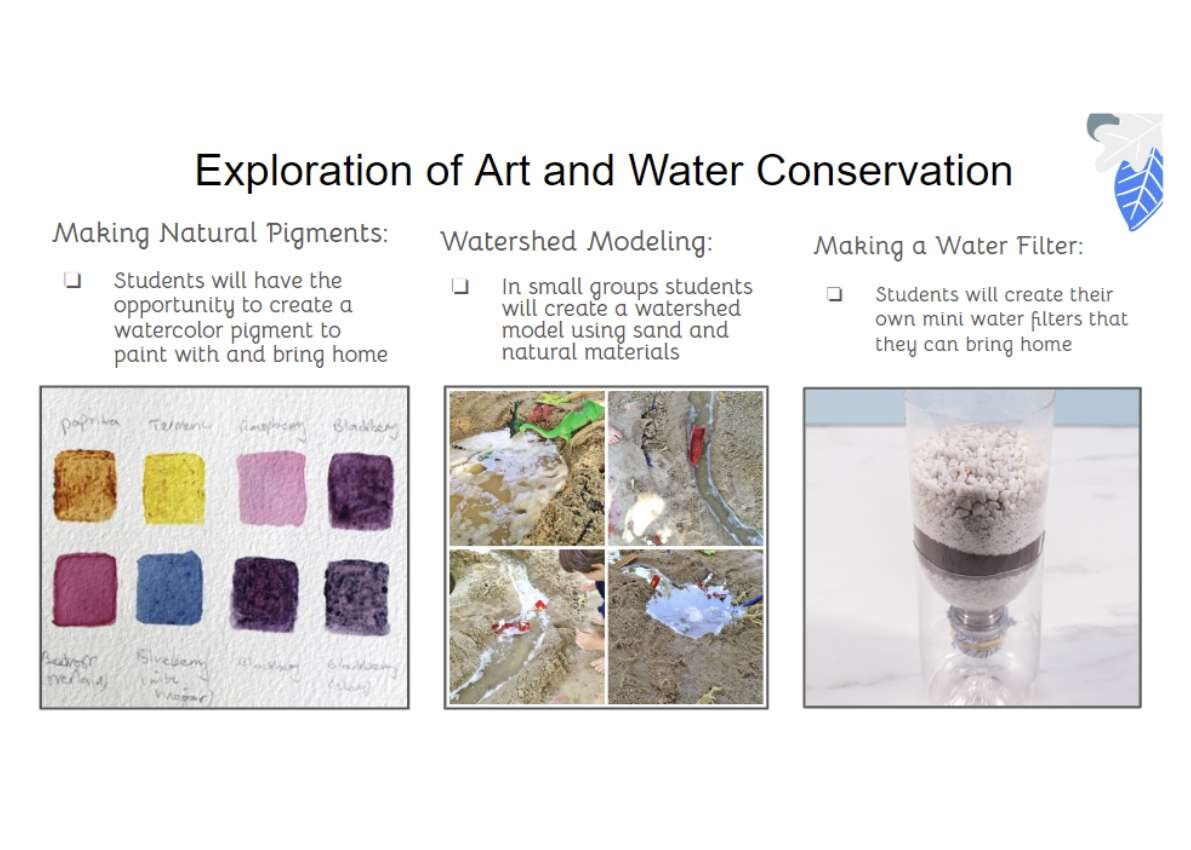 NSAP Exploration of Art and Water Conservation