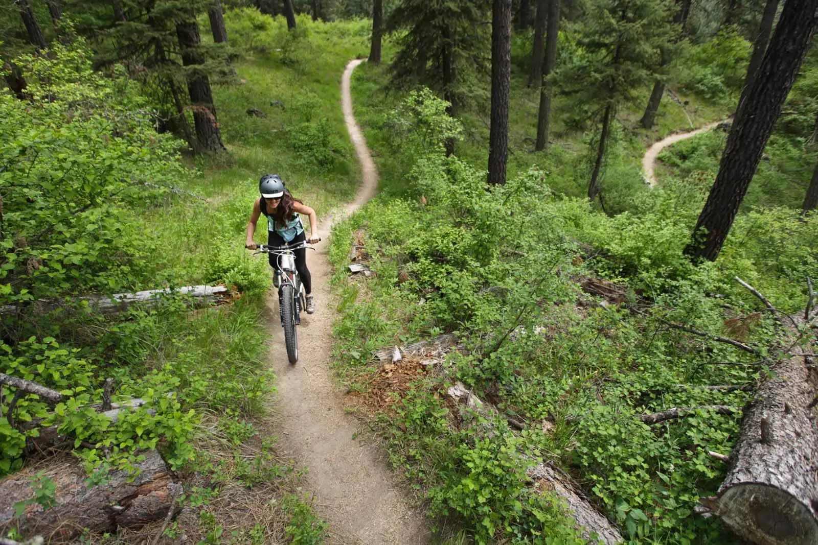 A woman riding a mountain bike down a trail through a forest of tall trees.