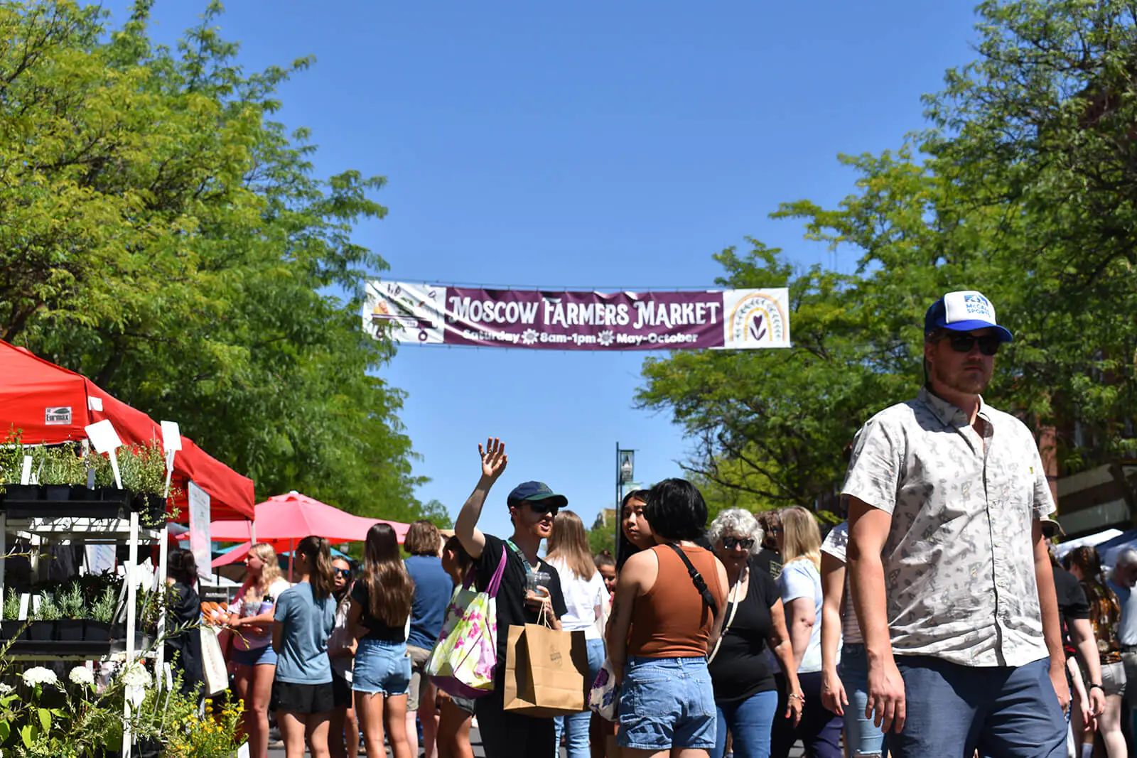 Moscow Farmers Market in Moscow, Idaho