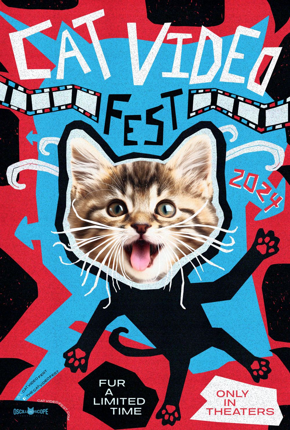 Cat Video Fest 2024