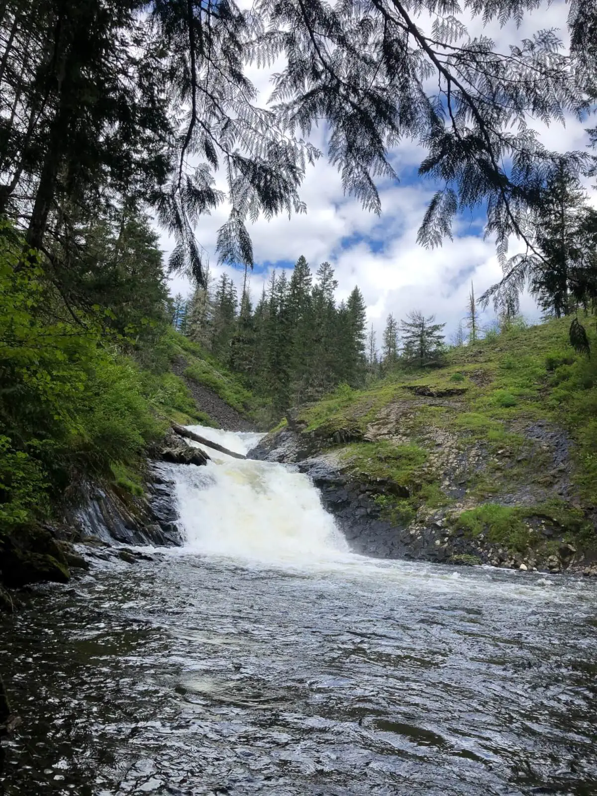 Hiking Trails